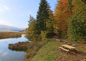- une table de pique-nique en bois à côté d'une rivière dans l'établissement L'Ecrin du Lac, à Saint-Point-Lac