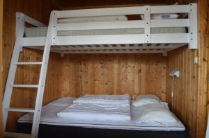 a bunk bed in a room with a ladder at Nordseter Fjellpark, Hyttegrend in Nordseter