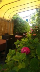 Zahrada ubytování Hotel ILLI