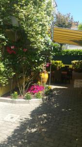 Zahrada ubytování Hotel ILLI