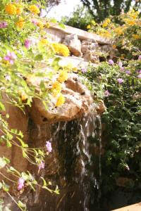 Zahrada ubytování Masseria Casale Dei Fornici