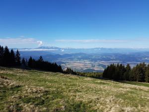Foto dalla galleria di Almhütte in Kärnten a Goding