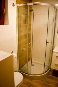 a shower with a glass door in a bathroom at Alkado Domki Jurata in Jurata