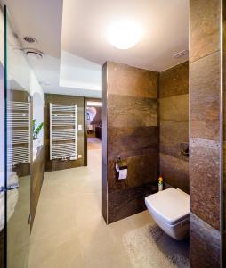 een badkamer met een toilet en een douche bij Rooftop Triplex Apartment in Centre in Hradec Králové