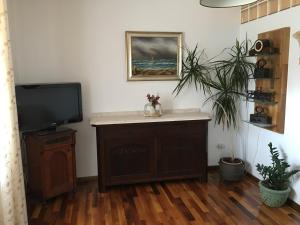 TV a/nebo společenská místnost v ubytování Longo Apartment