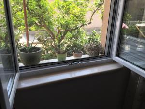 Balkón nebo terasa v ubytování Longo Apartment