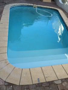 a large swimming pool with blue water in a yard at Damara Gardens in Windhoek