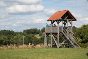 personas de pie en una torre de observación en un campo con ciervos en Scheidlerhof en Theisseil