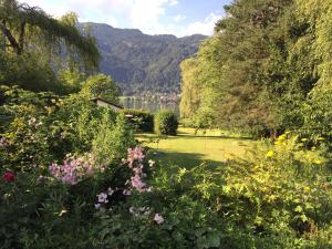Paesaggio naturale nelle vicinanze dell'affittacamere