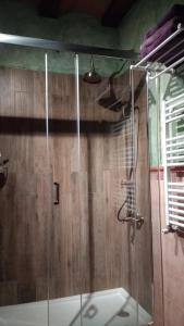 y baño con ducha y puerta de cristal. en Rural Las Campanas, en Torremocha del Pinar