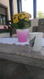 una tazza di caffè seduta su un tavolo con una farfalla dipinta sopra di Apartments Tratinčica a Seliste Dreznicko