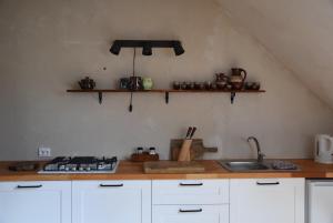 uma cozinha com um balcão com um lavatório e prateleiras em Siedlisko Besiekiery em Besiekiery