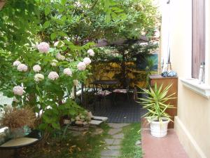 Zahrada ubytování Perla B&b