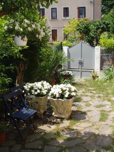 a garden with a bench and some flowers at Perla B&b in Venice-Lido