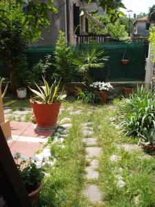 Zahrada ubytování Perla B&b