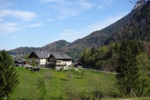 una casa en una colina en un campo con una montaña en Urlauben im Grünen, en Fuschl am See