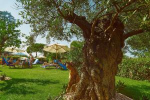 A garden outside Hotel Campagnola