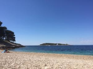 a person sitting on a beach next to the ocean at Buena Vis-ta Apartments with the Sea View in Vis