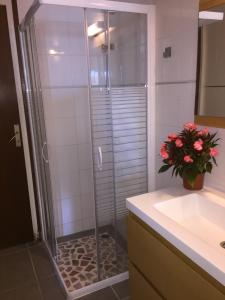 a shower with a glass door in a bathroom at Alizés in Saint-Denis-dʼOléron