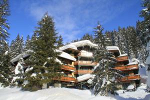 Alpen Appartements Zauchensee semasa musim sejuk