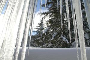 Alpen Appartements Zauchensee semasa musim sejuk