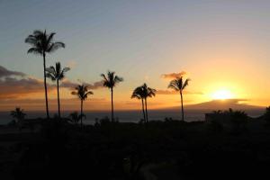 a group of palm trees in front of a sunset at Wailea Ekolu #607 in Wailea