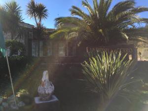 Κήπος έξω από το Posada Jardin del Cerro