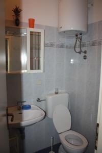 un piccolo bagno con servizi igienici e lavandino di Apartments Kliman a Rovigno (Rovinj)