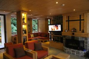 a living room with a fireplace and a tv at Apartmani Vila Bjelasica in Kolašin