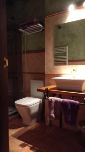 a bathroom with a toilet and a sink at Rural Las Campanas in Torremocha del Pinar +37 photos