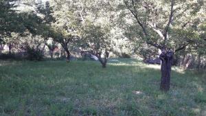 Gallery image of Relax na Morave in Němčičky