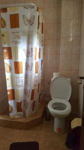 a bathroom with a toilet and a shower curtain with butterflies at Cabana Cory Râușor in Râu de Mori +20 photos