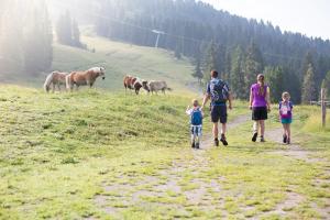 Zvieratá v apartmáne alebo blízkom okolí