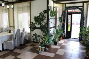 Restaurace v ubytování Beregynia