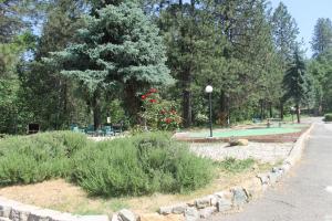 un parque con unos arbustos y árboles y una calle en Golden Chain Motel en Grass Valley