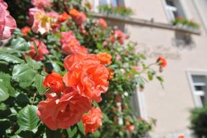 Un mazzo di fiori rossi davanti a un edificio di Hotel Romantik Eger a Eger