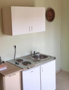 eine Küche mit einer Spüle und einer Arbeitsplatte in der Unterkunft Apartmani Suric in Privlaka