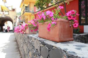 a group of flowers in pots on a stone wall at Hotel Margherita in Monterosso al Mare