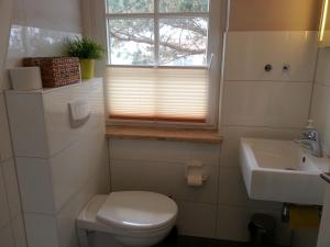 a bathroom with a toilet and a sink and a window at Appartements Fischerhus in Glowe +24 photos