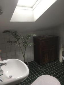 a bathroom with a sink and a potted plant at Stockholm B&B Cottage in Nacka