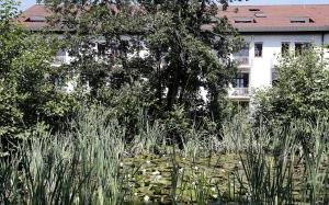Fotografie z fotogalerie ubytování Tagungs- und Bildungszentrum Steinbach/Taunus v destinaci Steinbach im Taunus