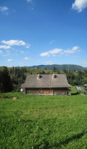 ein Haus mitten auf einem grünen Feld in der Unterkunft Volia Vasha in Werchowyna