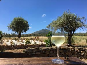 un bicchiere di vino bianco seduto su un tavolo di Villa Arzilla Sardegna ad Alghero