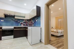 A cozinha ou cozinha compacta de Apartment Dalmatia
