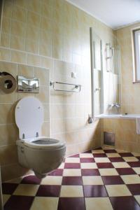 a bathroom with a toilet and a checkered floor at Bokun Apartments III in Sisak