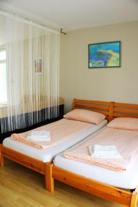 two beds sitting next to each other in a room at Bokun Apartments III in Sisak