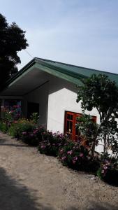 Zahrada ubytování B&B Nuwara eliya
