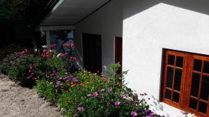 Zahrada ubytování B&B Nuwara eliya