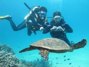 dos personas tomando una foto de una tortuga en el océano en Coco Komba Lodge en Nosy Komba