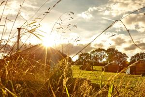 Natural landscape near the lodge 